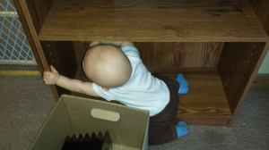 10170246_10101505291650453_631042642_o