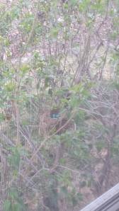 10284527_10101528549775983_582958080_o