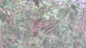 10337371_10101550948029703_1064529032_o